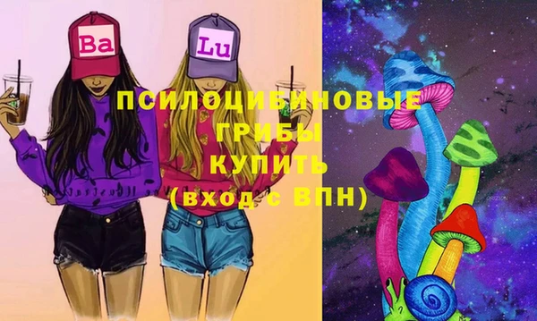 прущие грибы Алзамай