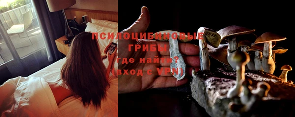 прущие грибы Алзамай