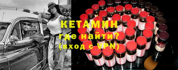крисы Алексин