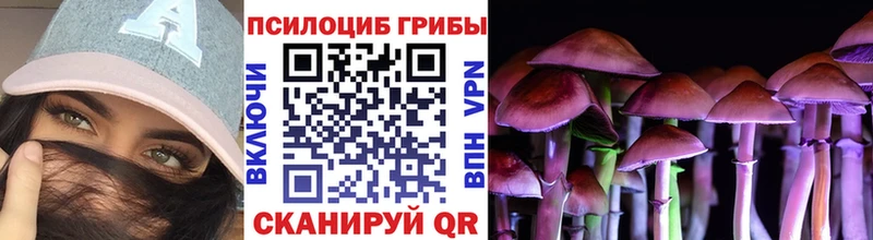 Псилоцибиновые грибы ЛСД Сибай