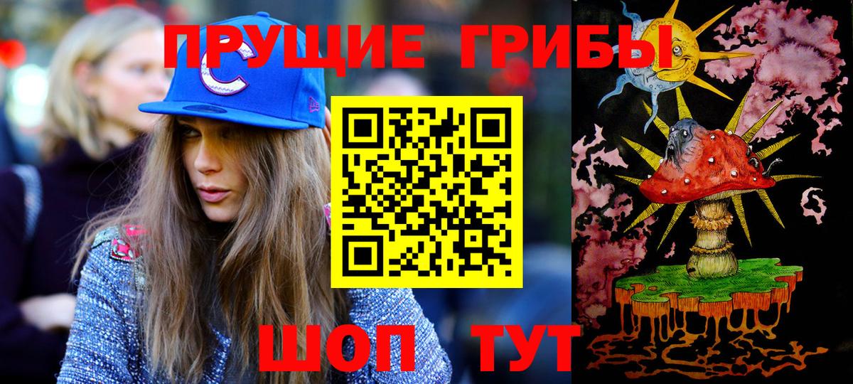 Псилоцибиновые грибы Psilocybine cubensis  где купить   Сибай  Вход с VPN 